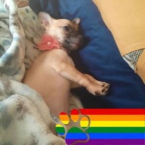 Meet your Posher, Judy